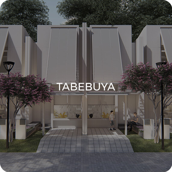 Tabebuya
