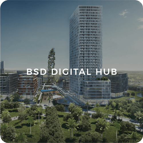 BSD Digital Hub